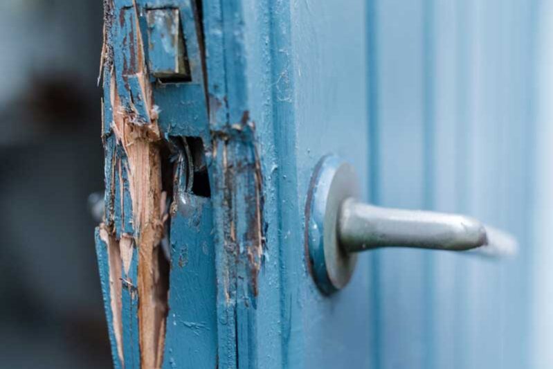 shutterstock_1035691525